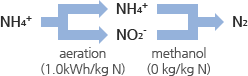 NH₄+ → NO₃- → N₂